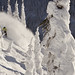Aaron Robinson Photo 10