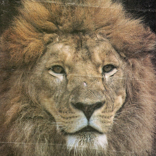 Larry Moran Photo 35