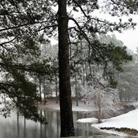 Sue Gilbert Photo 16