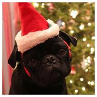 Leigh Garrison Photo 5