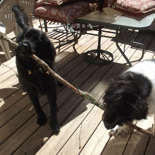 Jennifer Potter Photo 8