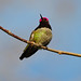 Anna Winters Photo 41