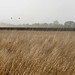 Douglas Farmer Photo 30