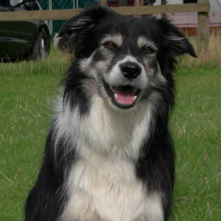 Larry Kelly Photo 15