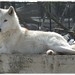 Phillip Wolf Photo 12