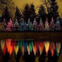 Christina Harding Photo 5