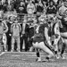Michael Stull Photo 13
