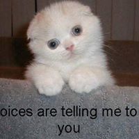 Charles Easterling Photo 19