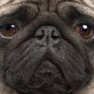 Sara Barnett Photo 24