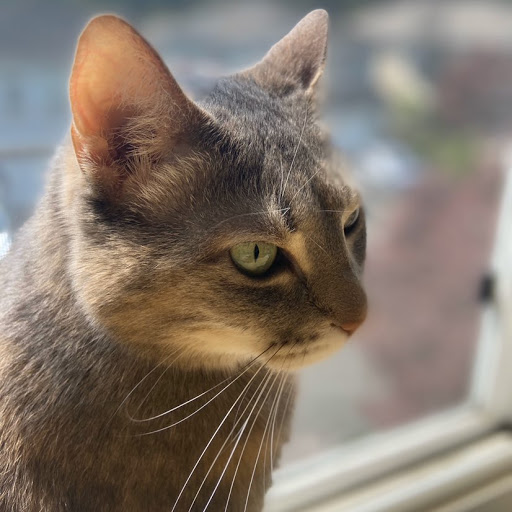 Sarah Yates Photo 36