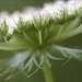 Anne Fuller Photo 33