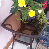 Joann Erickson Photo 19