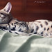 Deborah Mcknight Photo 33