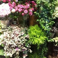 Frances Leung Photo 8