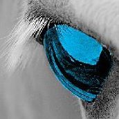 Nancy Blank Photo 36