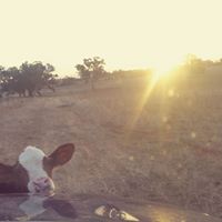 Melissa Hopkins Photo 19