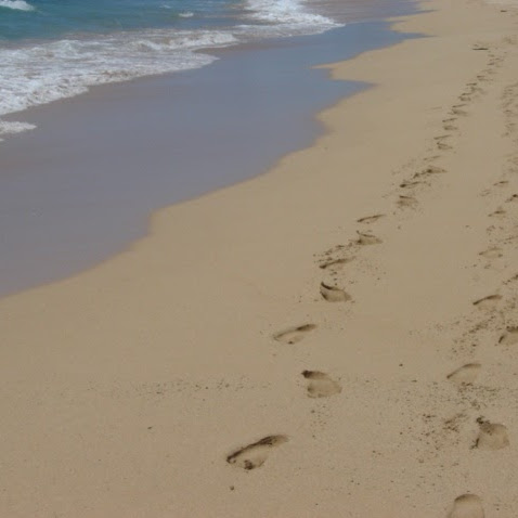 Laura Garrett Photo 18