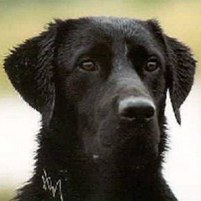 Jane Johnson Photo 39