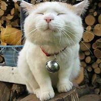 Catherine Mccartney Photo 14