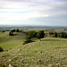Matt Rawlins Photo 13