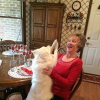Judy Lawson Photo 21