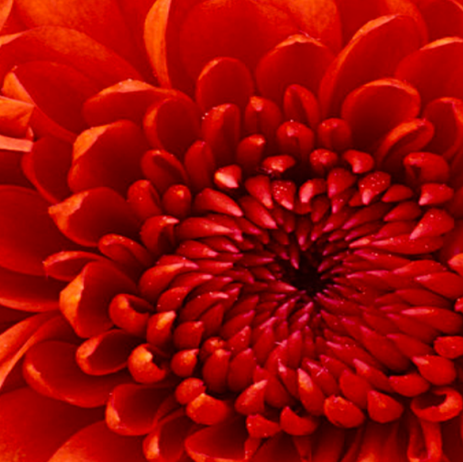 Amy Engelbert Photo 5