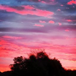 Jennifer Turner Photo 4