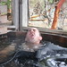 Ryan Wise Photo 42