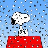 Kevin Mcdevitt Photo 30