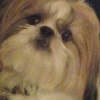 Sandy Partridge Photo 5