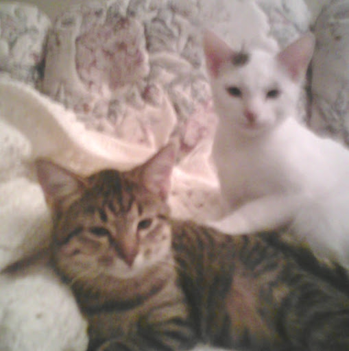 Kathi Sullivan Photo 12