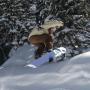Robert Norton Photo 35