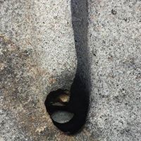 Julie Torgerson Photo 4