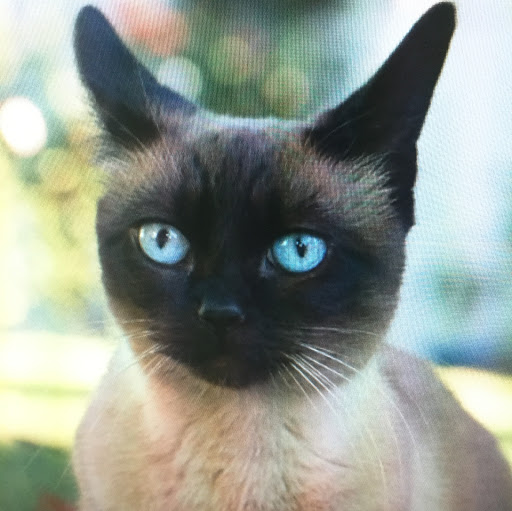 William Rust Photo 26