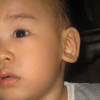 Thuy Chu Photo 8