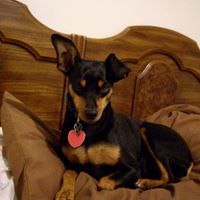 Kimberly Rowley Photo 29