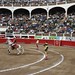 Ana Adames Photo 33