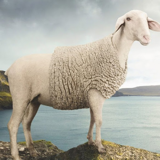 Daniel Harper Photo 36