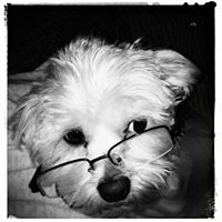 Erica Cochran Photo 17