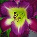 Jerry Joiner Photo 18