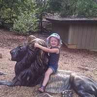 Tracey Lindsey Photo 16