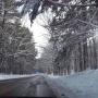 Amanda Cantor Photo 8
