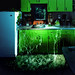 Jason Sanchez Photo 17