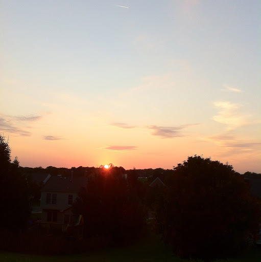 Julia Burchett Photo 2