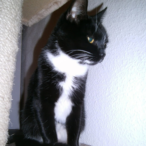 Cindy Schramm Photo 1