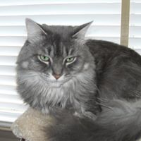 Denise Richard Photo 23 Denise Richard Photo 23