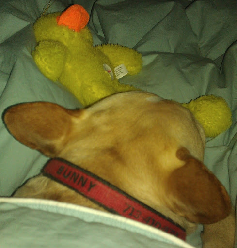 Barbara Jacobs Photo 18 Barbara Jacobs Photo 18