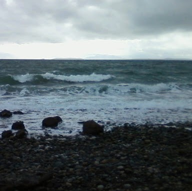 Kathy Wilkes Photo 37 Kathy Wilkes Photo 37