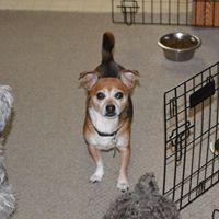 Debbie Sage Photo 14