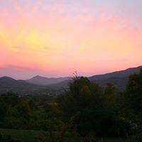 Suzanne Shepherd Photo 28